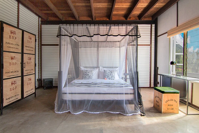 Tea & Experience Factory - imagen 3