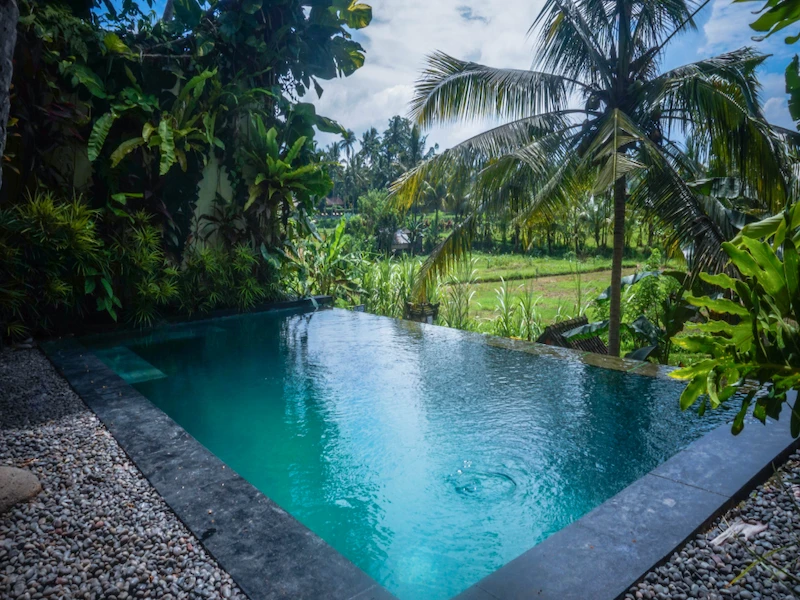 Ubud Padi Villas - imagen 3