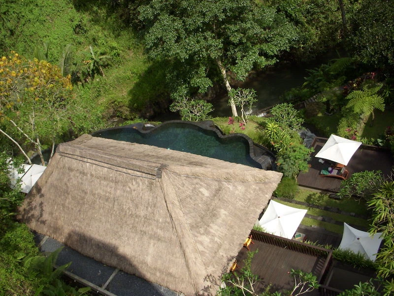 Maya Ubud Resort - imagen 5