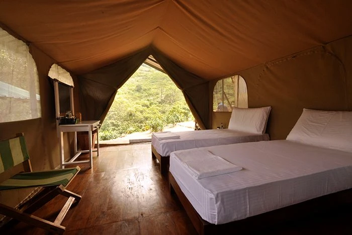 Wild Glamping - imagen 3
