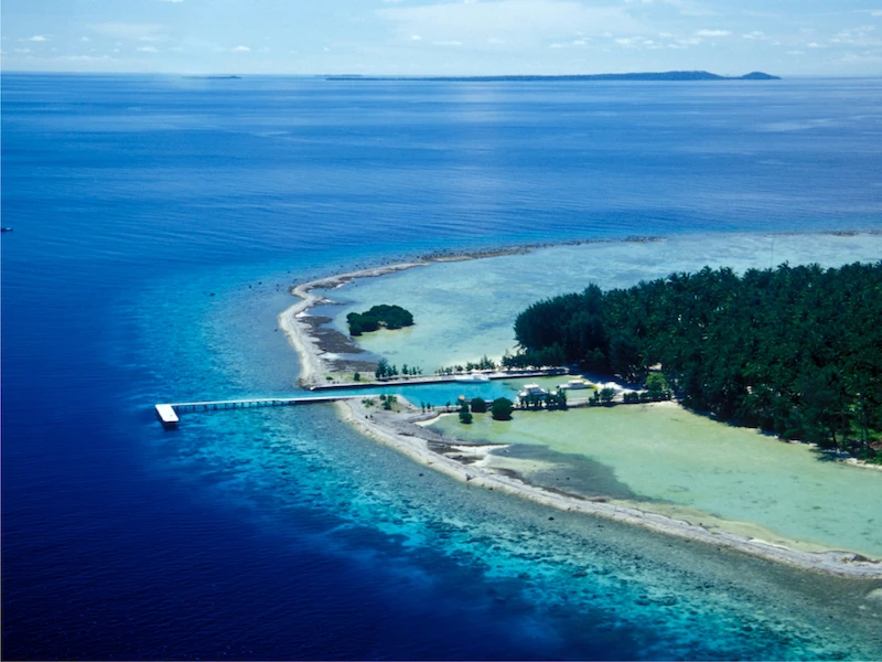 Kura Kura Resort - imagen 10