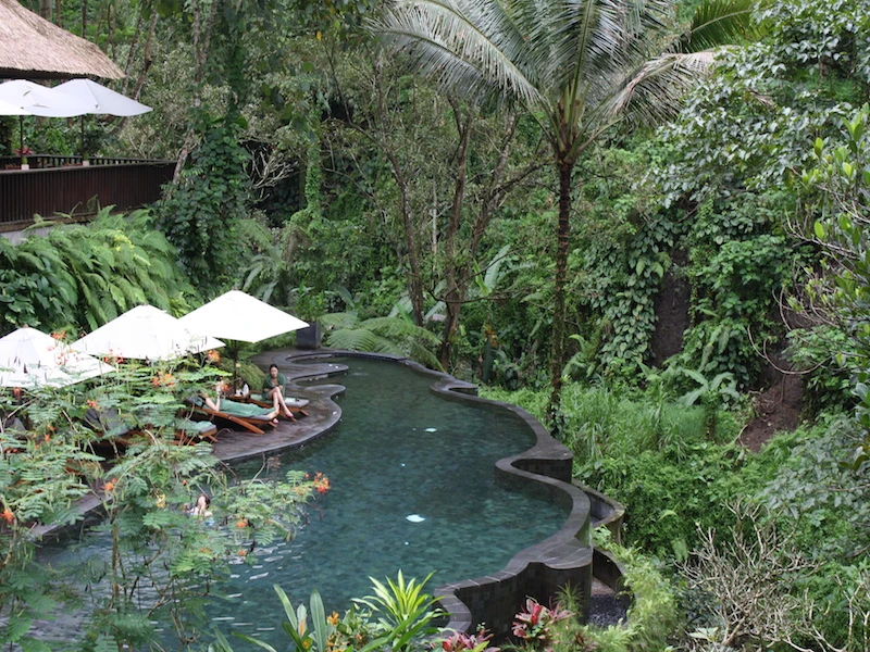 Maya Ubud Resort - imagen 4