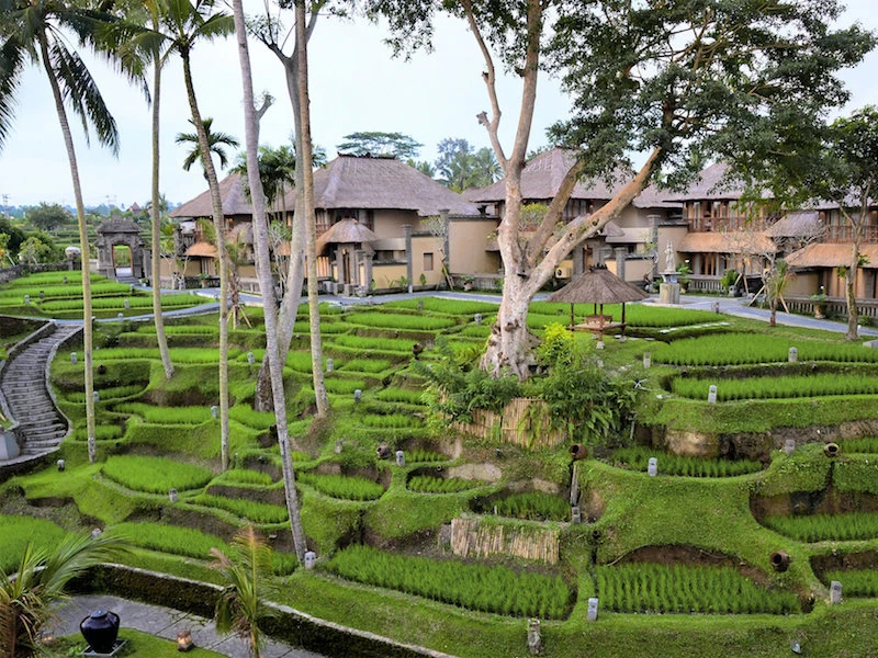 Kamandalu Resort - imagen 5