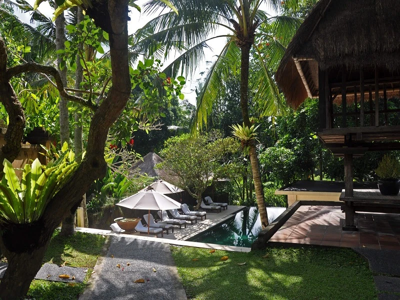 Komaneka Monkey Forest - imagen 5