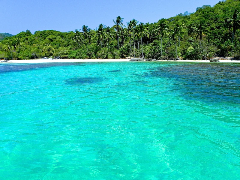 Kura Kura Resort - imagen 9