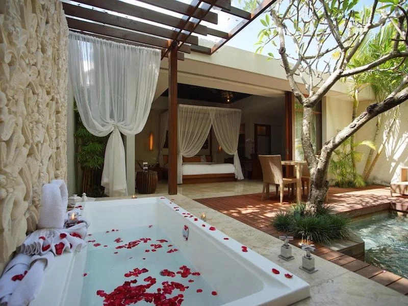 The Amala - imagen 4