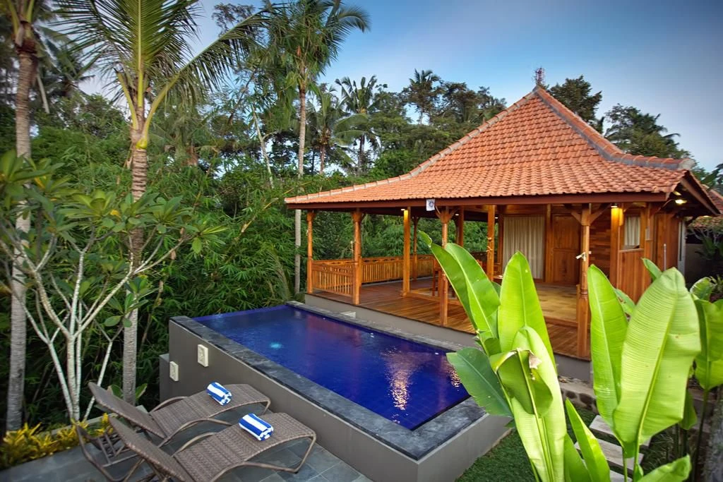 Ubud Heaven Sayan - imagen 4