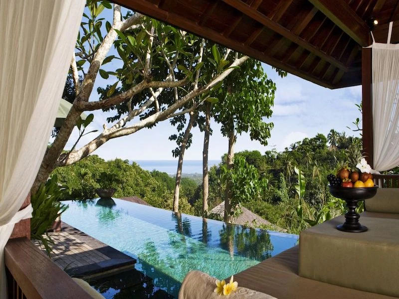 Damai Lovina - imagen 4