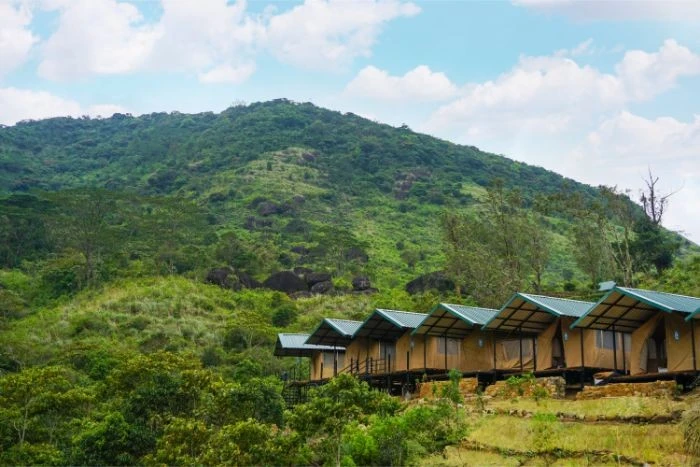 Wild Glamping - imagen 5