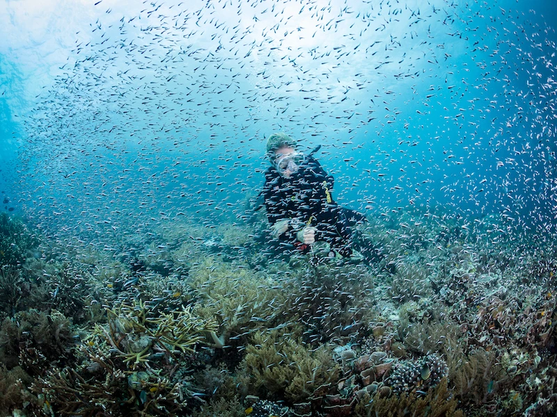 Raja Ampat Biodiversity Eco Resort