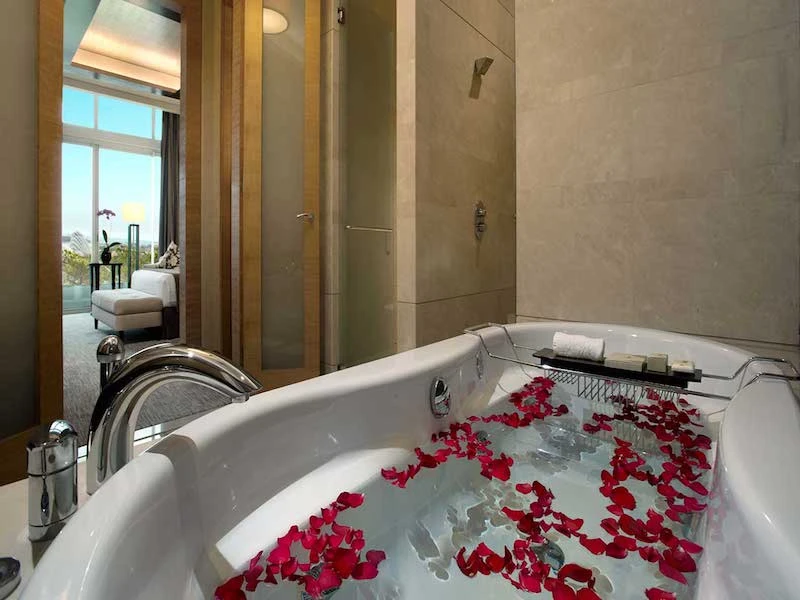 Marina Bay Sands - imagen 5