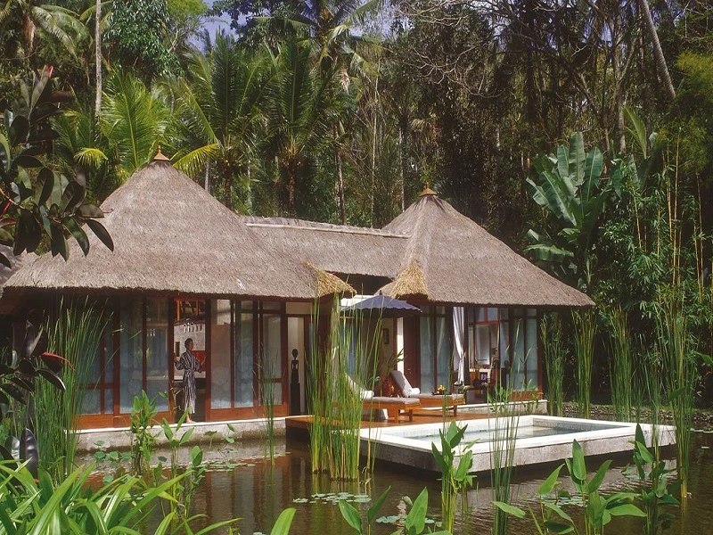 Four Seasons Sayan - imagen 3