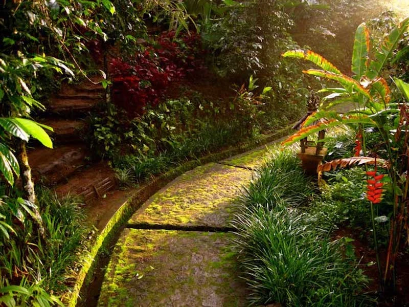 Munduk Moding Plantation - imagen 8