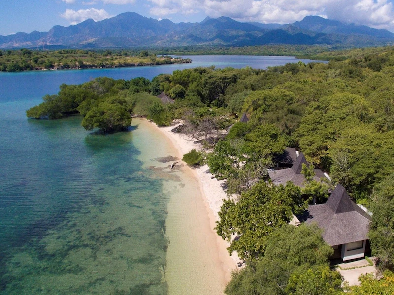 The Menjangan - imagen 8