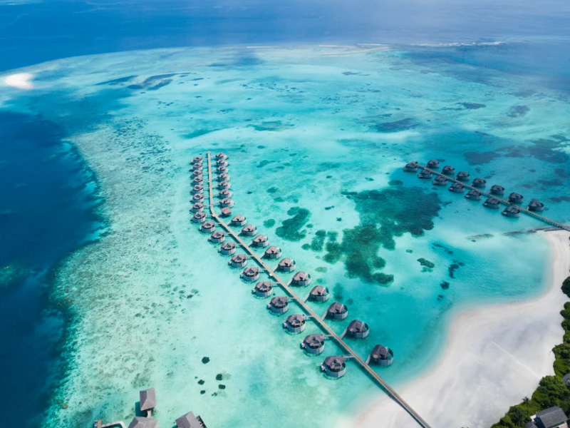 Six Senses Laamu Maldivas - Imagen 2