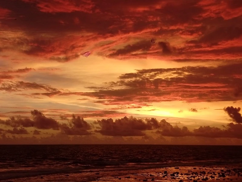 Sri Lanka y playas - Imagen 4