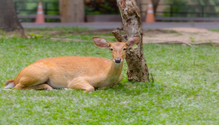 Filipinas cultural y playas - Imagen 5