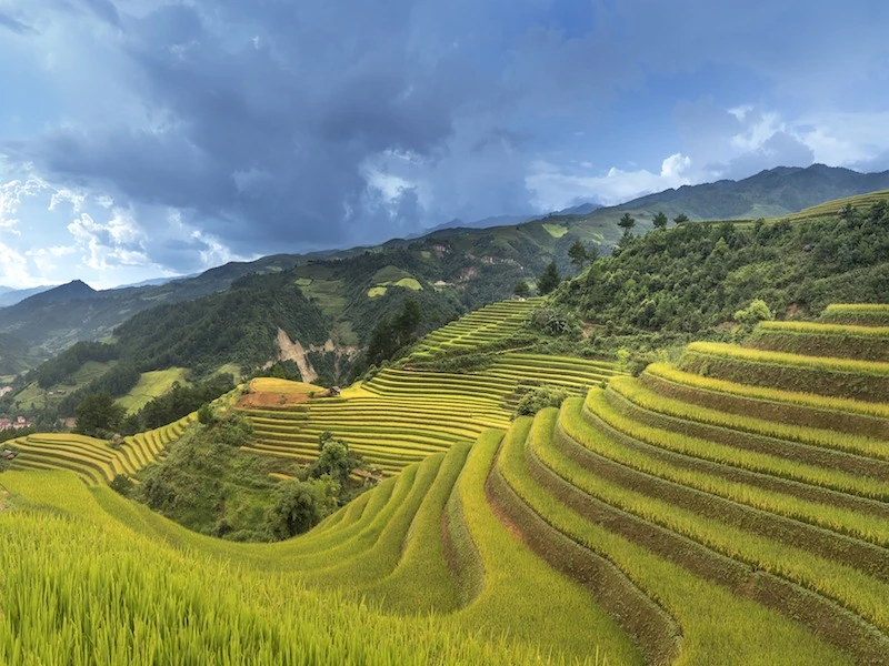 Vietnam, Camboya y Maldivas - Imagen 2