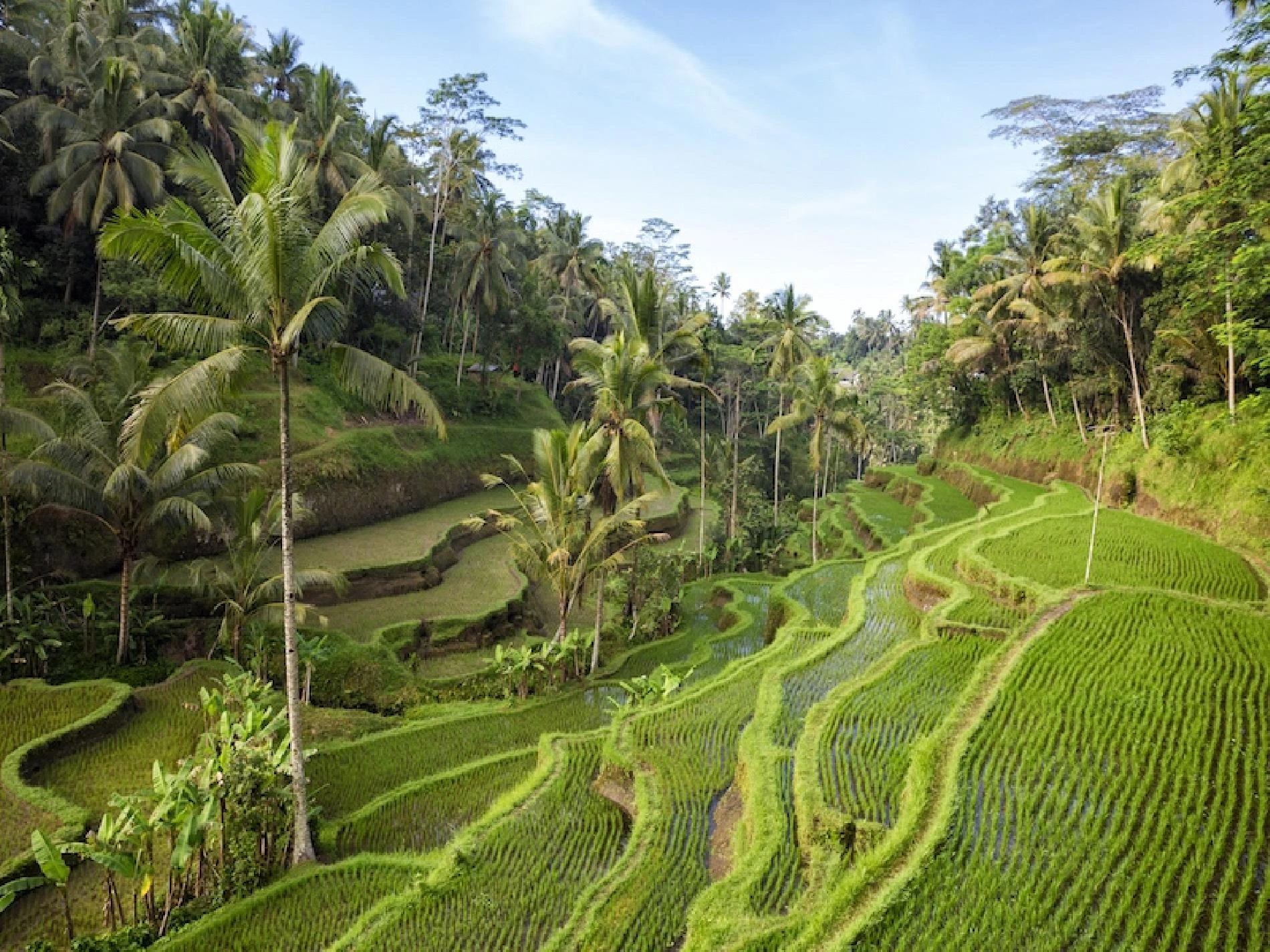 Viaje Bali y Komodo - Imagen 3