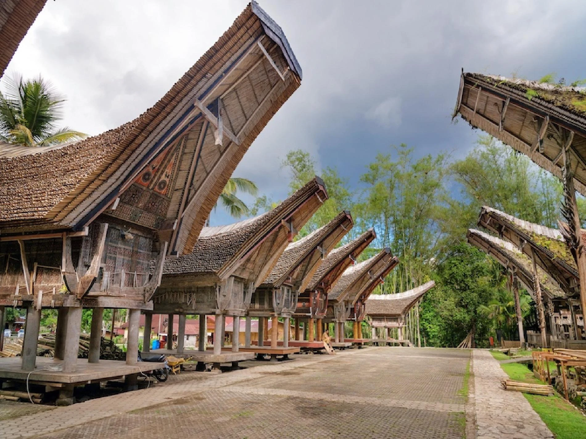 Toraja - Imagen 3