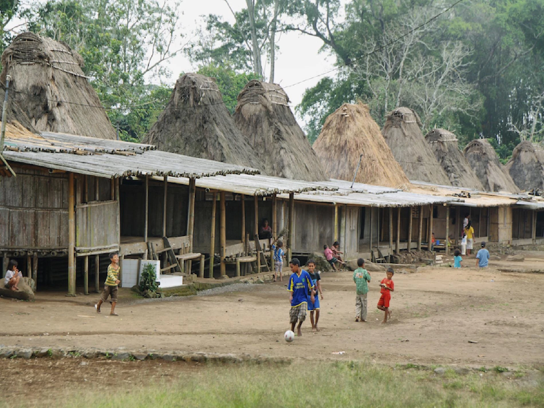 Flores y Komodo - Imagen 2