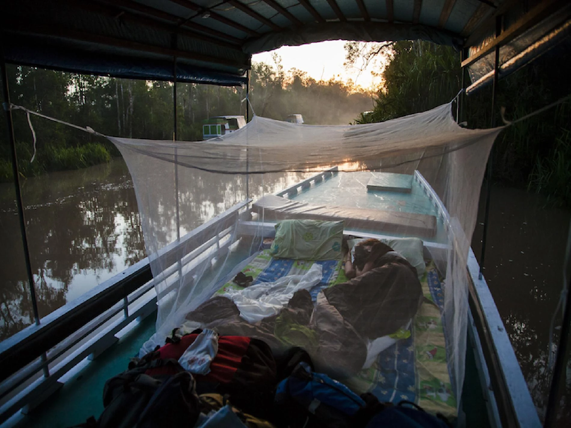 Tanjung Puting en klotok - Imagen 2