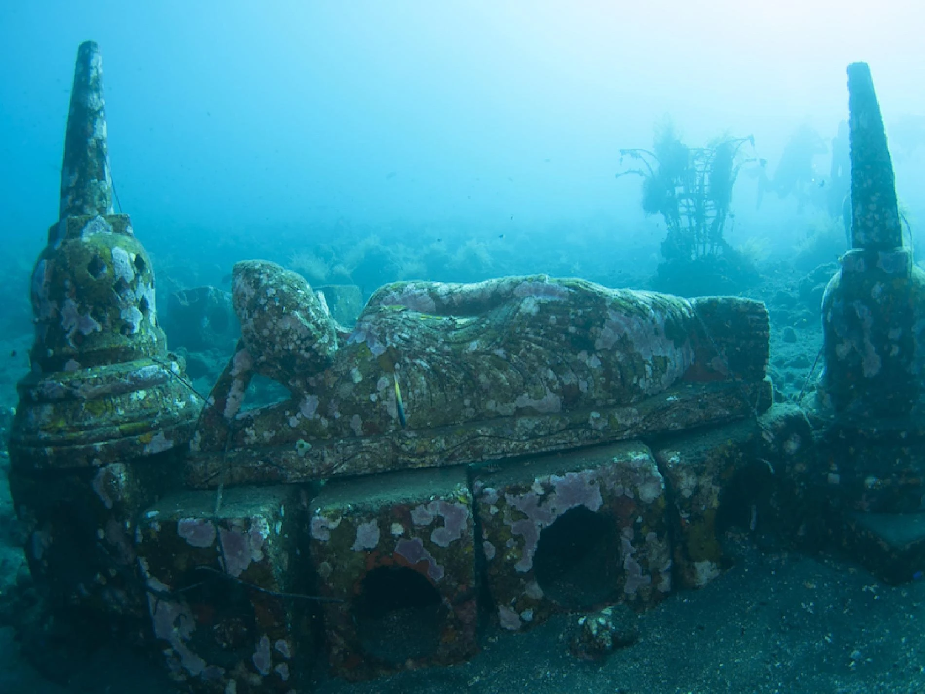 Buceo en Bali - Imagen 4