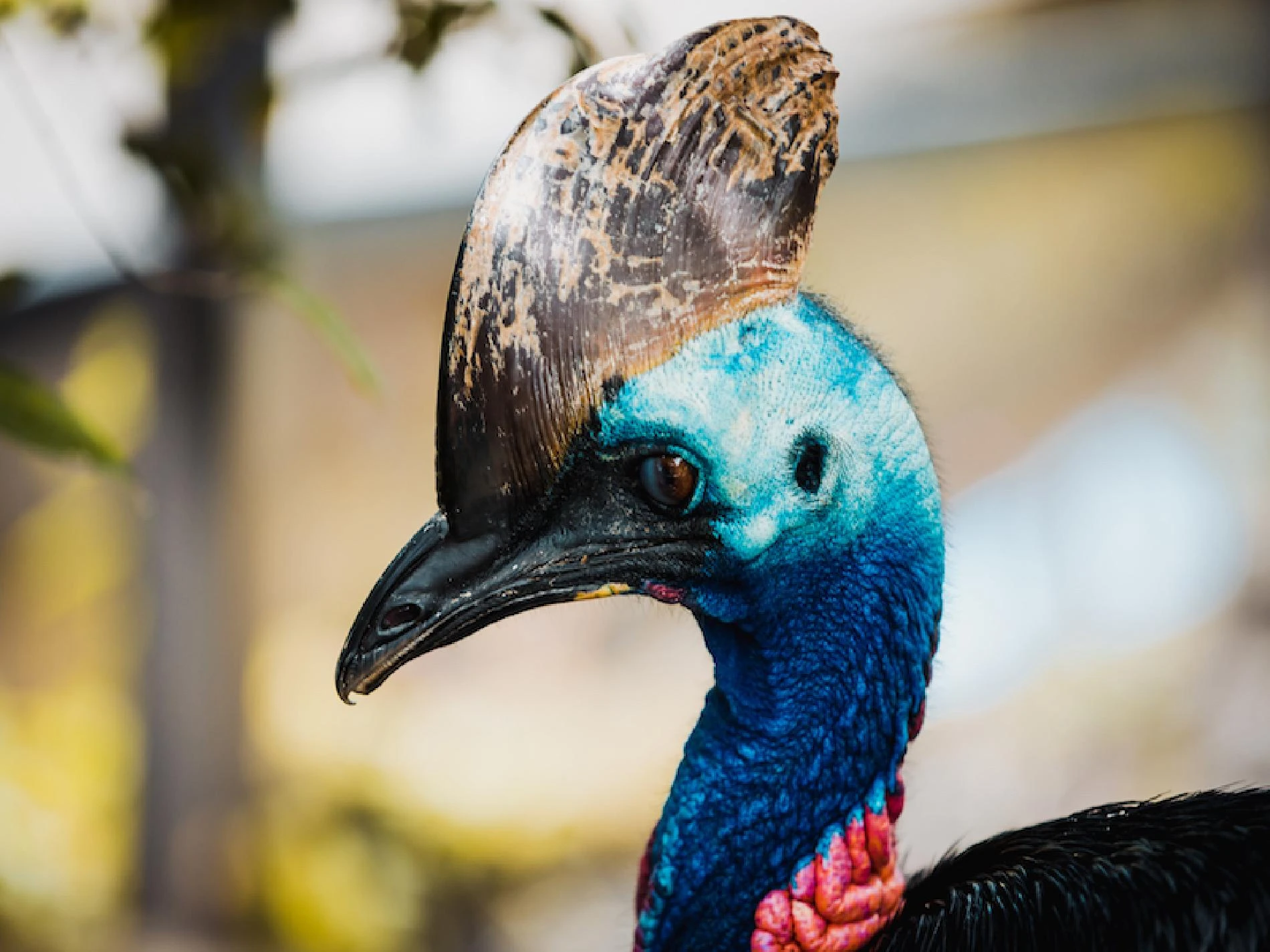 Viaje con niños - Imagen 3