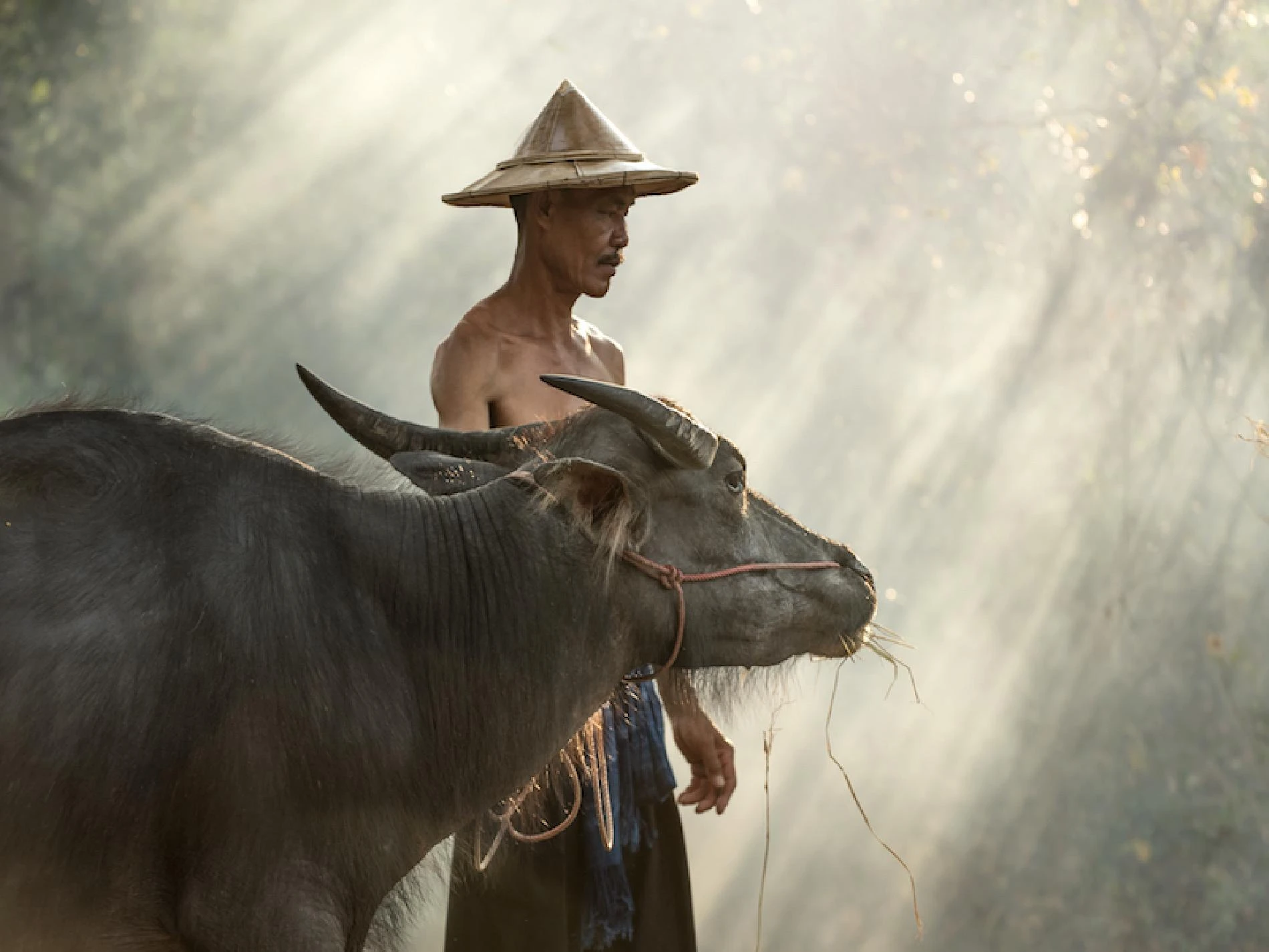 Bali Boutique con Islas Gili - Imagen 3