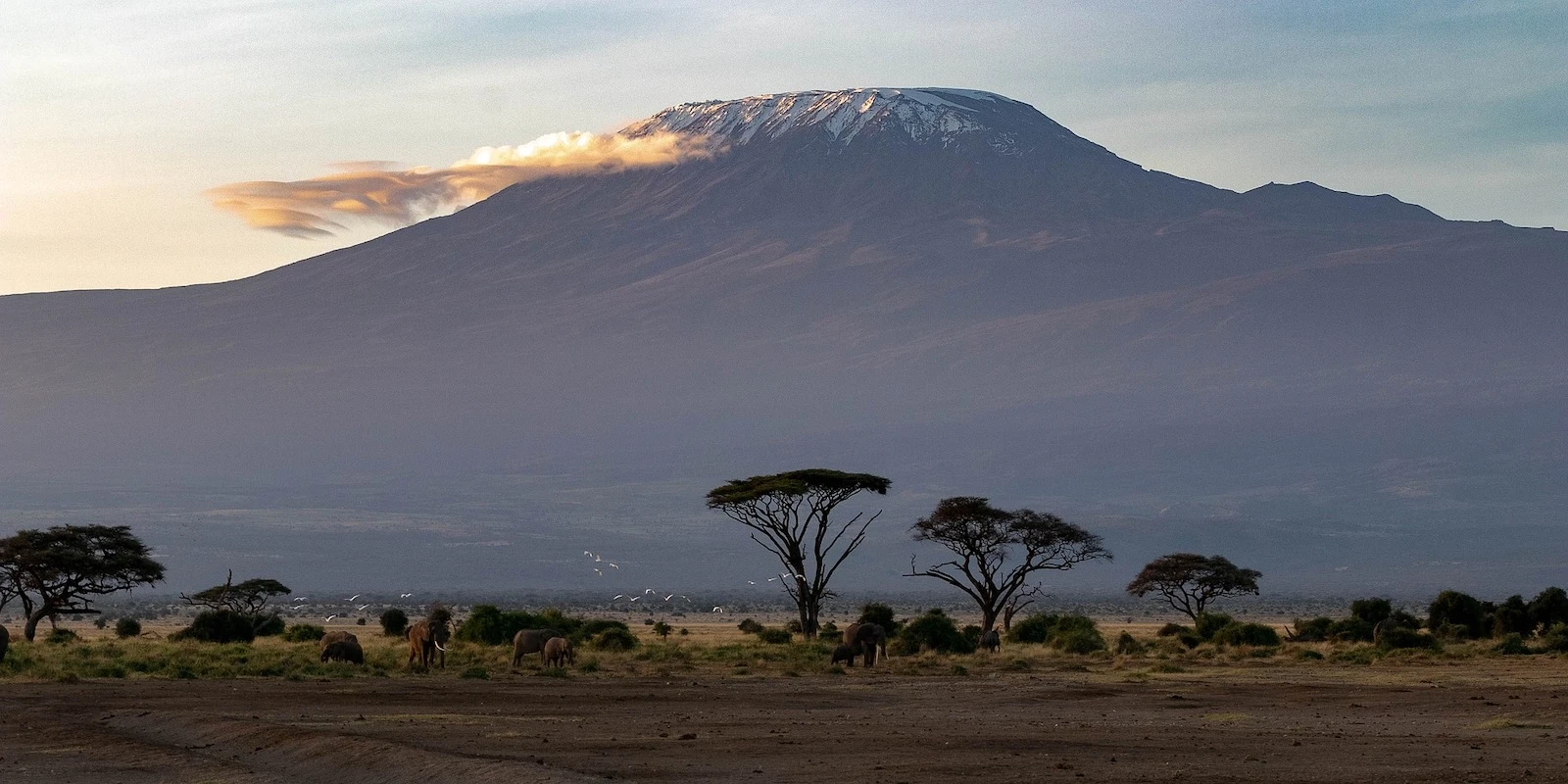 Ascensión Monte Kenia y Safari Masai Mara.