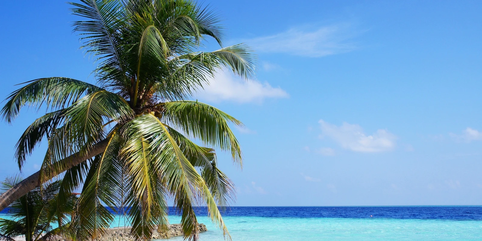 Japón en grupo y Maldivas