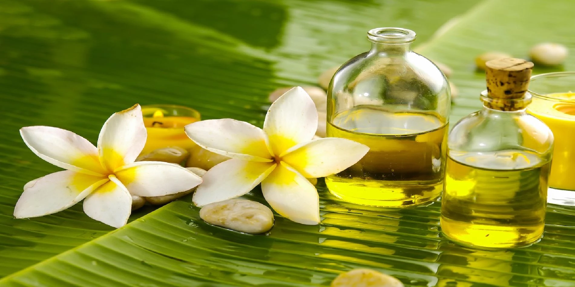 Secretos de perfumes