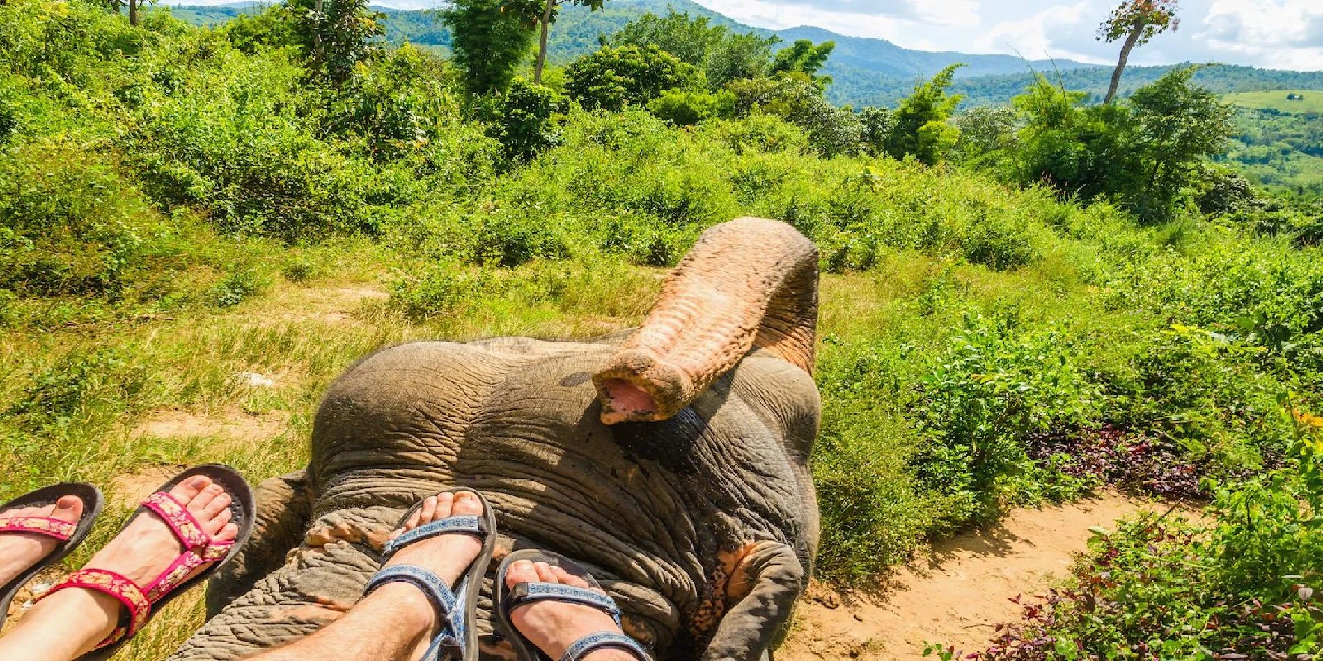 Safari en elefante